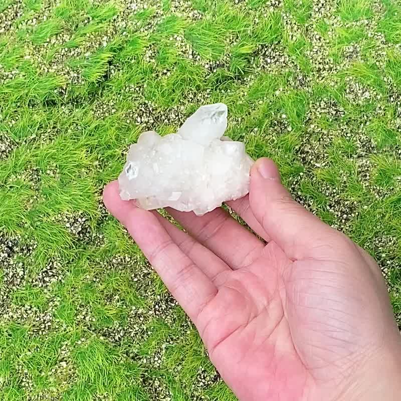 天然原矿纯净白色钻石鱼眼石晶簇 释放负面磁场 提升洞察力 - 摆饰 - 水晶 白色