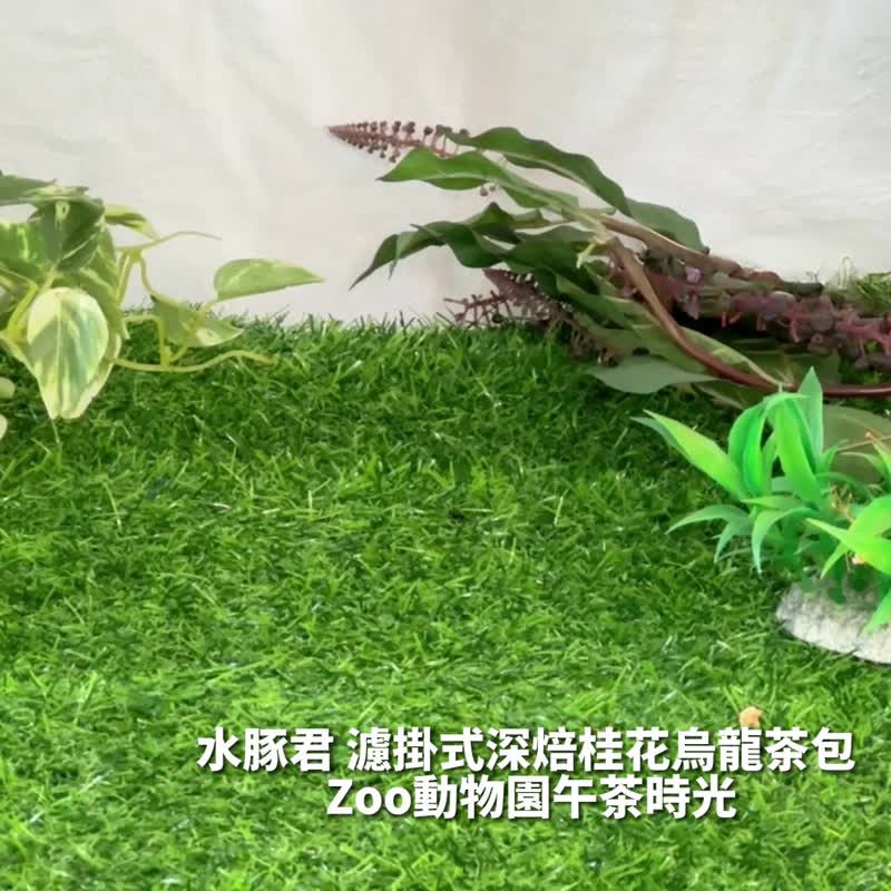 新凤鸣【滤挂式茶包】深焙桂花乌龙茶 7 入 动物园午茶原创茶水豚君 - 茶 - 其他材质 