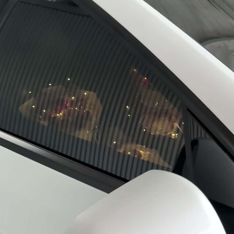 2025情人节新款 草莓玫瑰花束 不能莓有你 - 干燥花/捧花 - 植物．花 