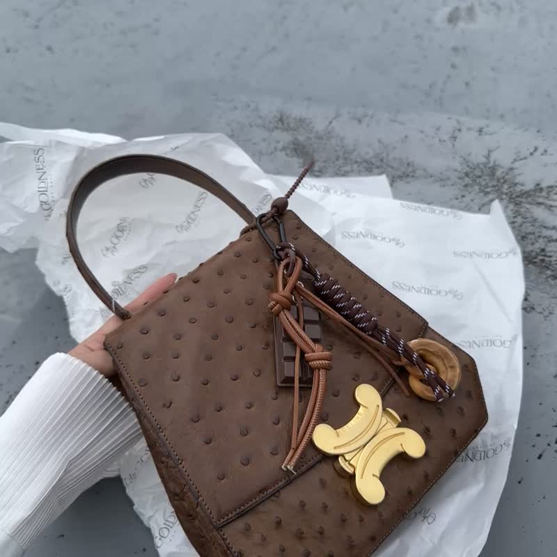 中古包 Celine 赛琳 罕有绝版凯旋门鸵鸟皮包 - 手提包/手提袋 - 真皮 咖啡色