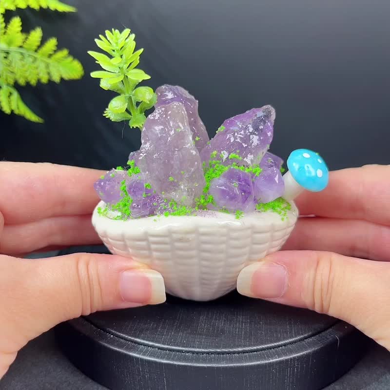 天然紫水晶原石晶簇景观陶瓷盆栽 原石随形 桌面摆件 - 摆饰 - 水晶 紫色