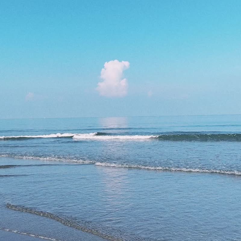 万用快干巾/浴巾/海滩巾/毛巾 - 鲨鱼图鉴。海洋蓝 生日礼物 送礼 - 毛巾浴巾 - 聚酯纤维 蓝色