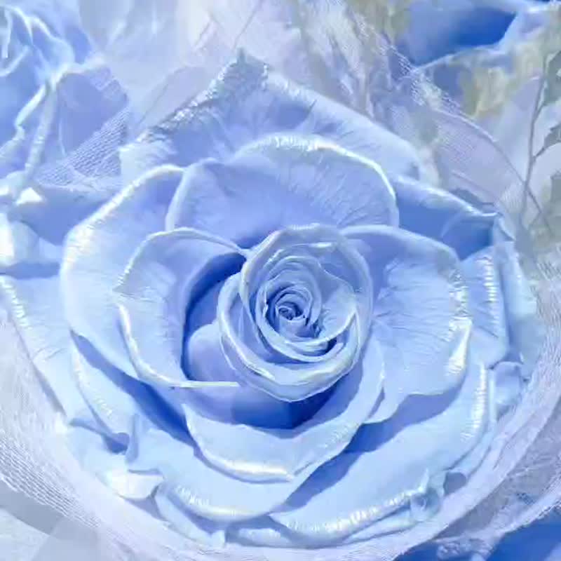 【荞翎工作室】厄瓜多尔尔永生玫瑰蝴蝶花束 - 干燥花/捧花 - 植物．花 多色