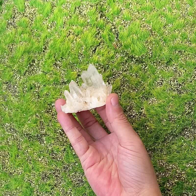 天然原矿能量可爱白水晶簇 白水晶 消磁净化 入厝礼物 快速出货 - 摆饰 - 水晶 多色
