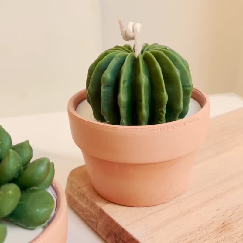 【办公小物】小多肉蜡烛-植物大豆蜡烛/JUNO Candle - 香薰/精油/线香 - 蜡 绿色