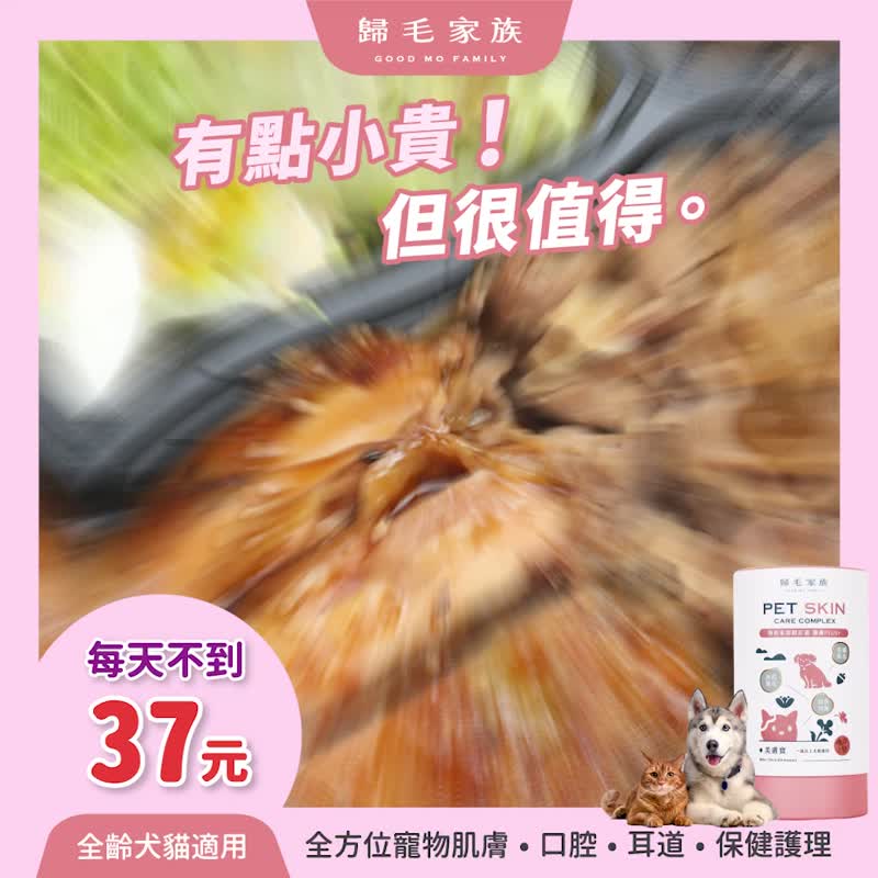 【归毛家族】Good宝系列宠物保健品－美肤宝1入组(二代升级) - 其他 - 其他材质 