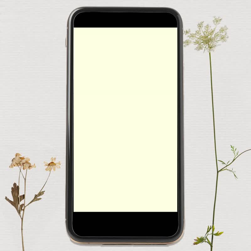 【植物插画】动态电子喜帖 | 花框日记_B01 - 电子喜帖/贺卡/邀请函 - 其他材质 