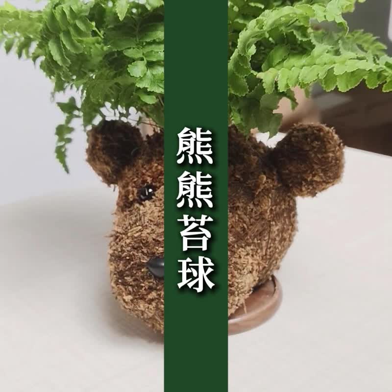 李的绿意花园 熊熊苔球材料包 水苔球 苔球 手做材料包 亲子活动 - 植栽 - 植物．花 绿色
