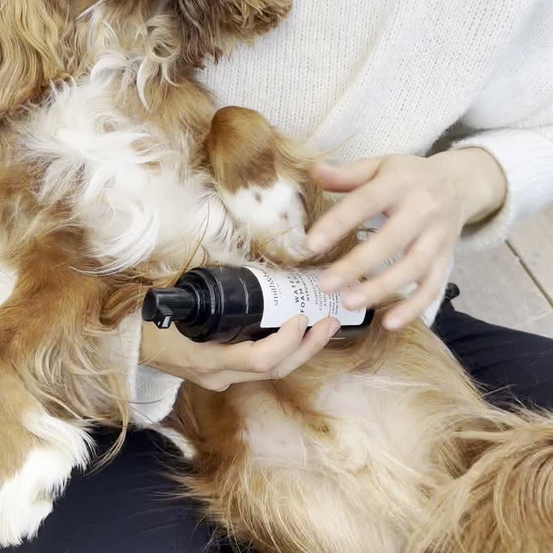 【smith&burton】免冲洗泡沫洗毛精150ml(犬猫适用) - 清洁/美容 - 浓缩/萃取物 