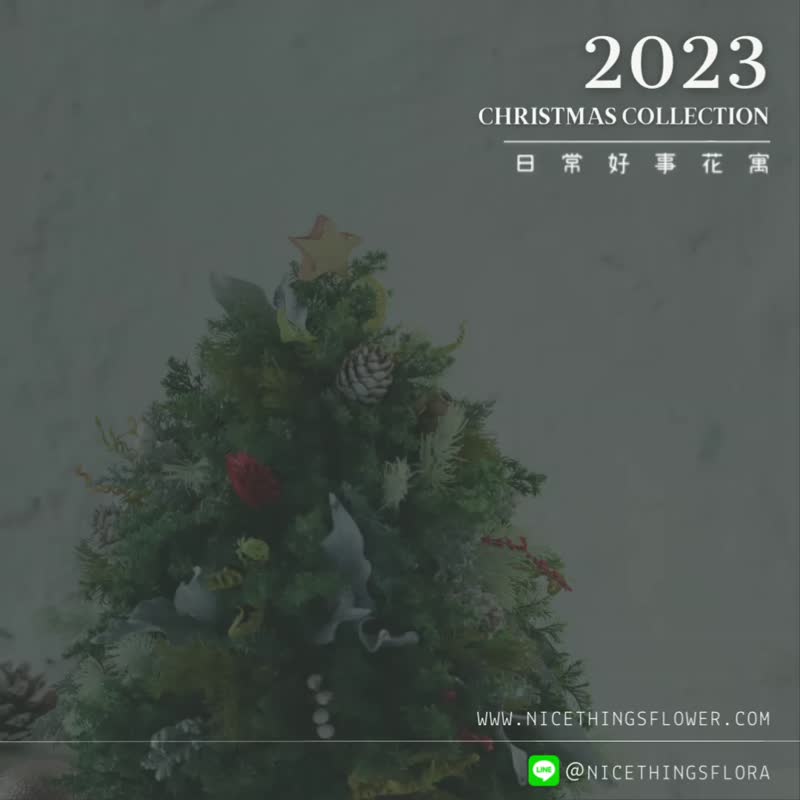 2023 圣诞版扩香瓶120ml  圣诞礼物 交换礼物 圣诞节 - 干燥花/捧花 - 植物．花 