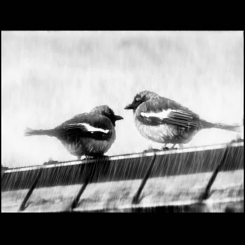 陪伴   - 【 高清微喷油画系列 】  艺术挂画 | 书房挂画 - 海报/装饰画/版画 - 棉．麻 