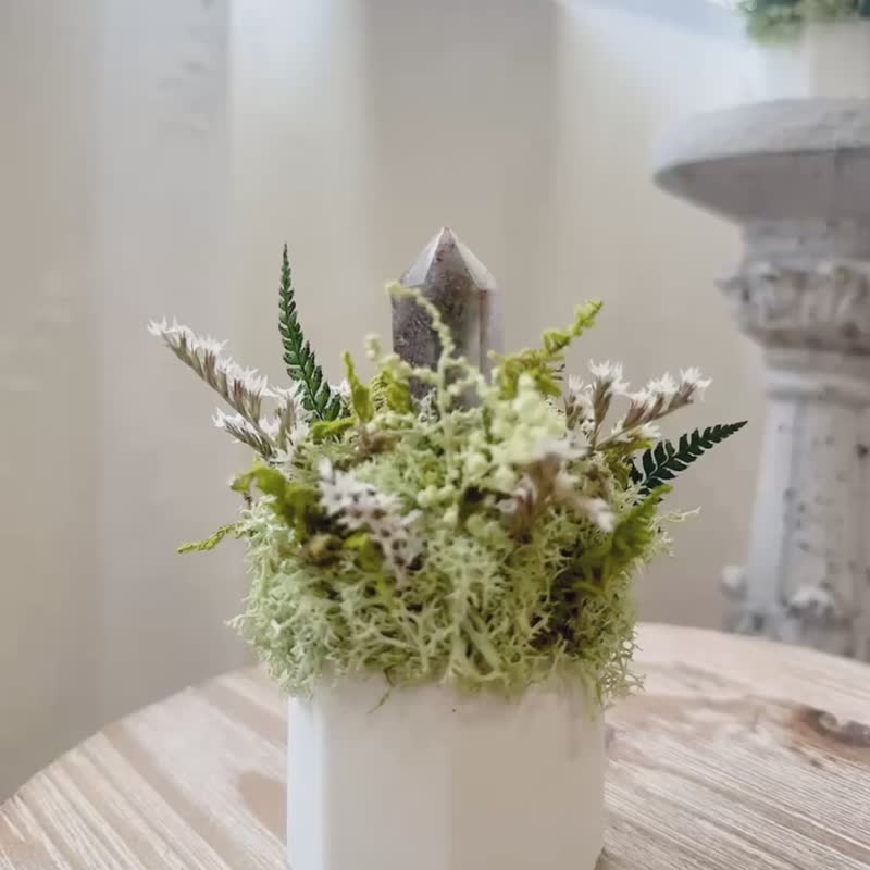 绿幽灵水晶 专注与成长。水晶 永生叶材绿植栽 - 植栽/盆栽 - 水晶 绿色