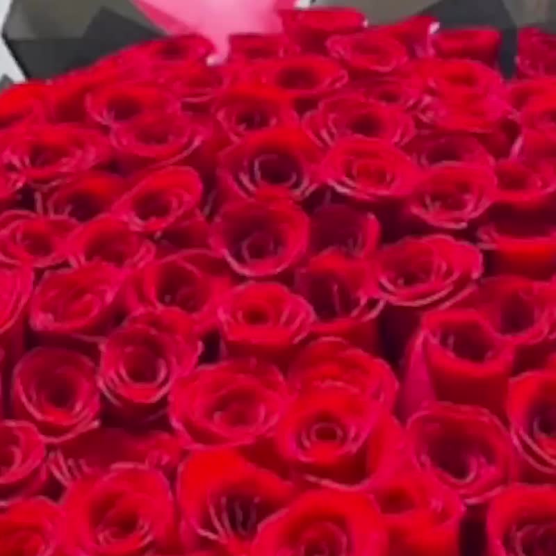 情人节 99 朵玫瑰花束 - 干燥花/捧花 - 植物．花 红色