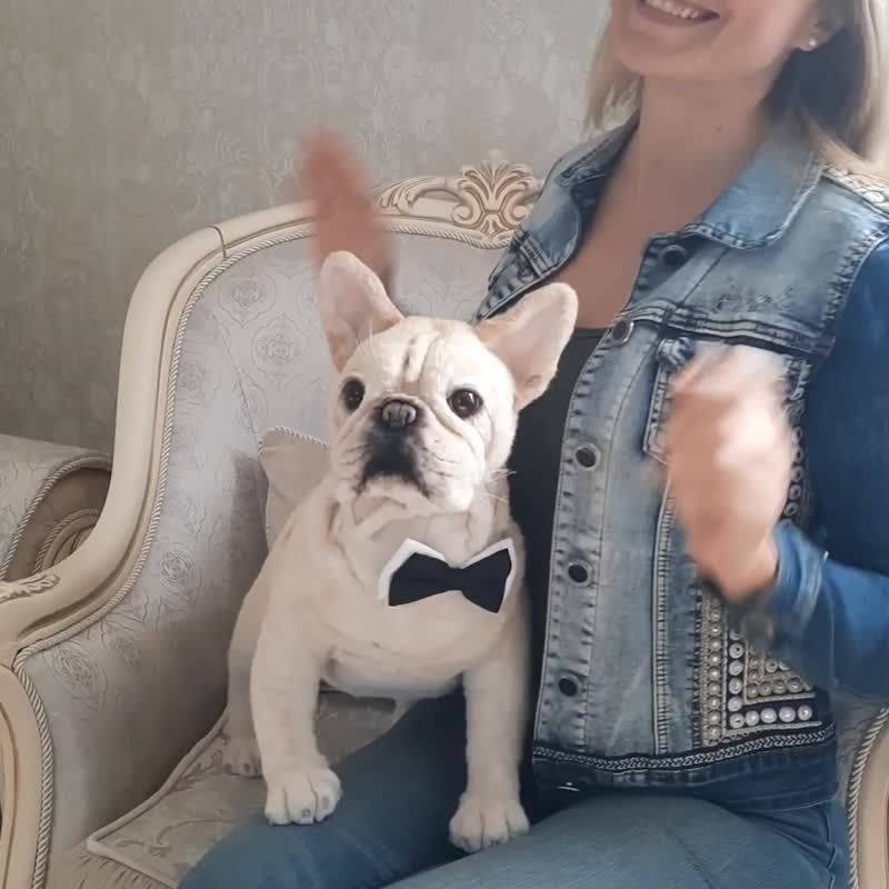 French Bulldog realistic plush toy Custom plush dog - 玩具 - 其他材质 白色