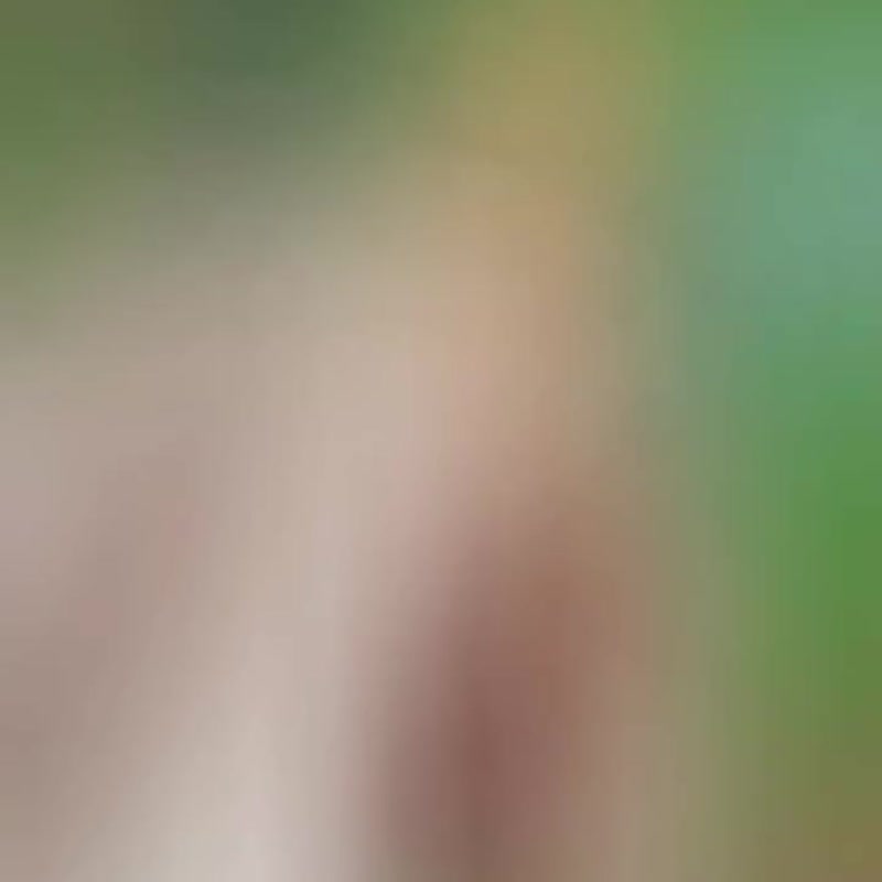 疗愈猫咪造型小物 疗愈猫咪造型小物。 - 其他 - 其他人造纤维 多色