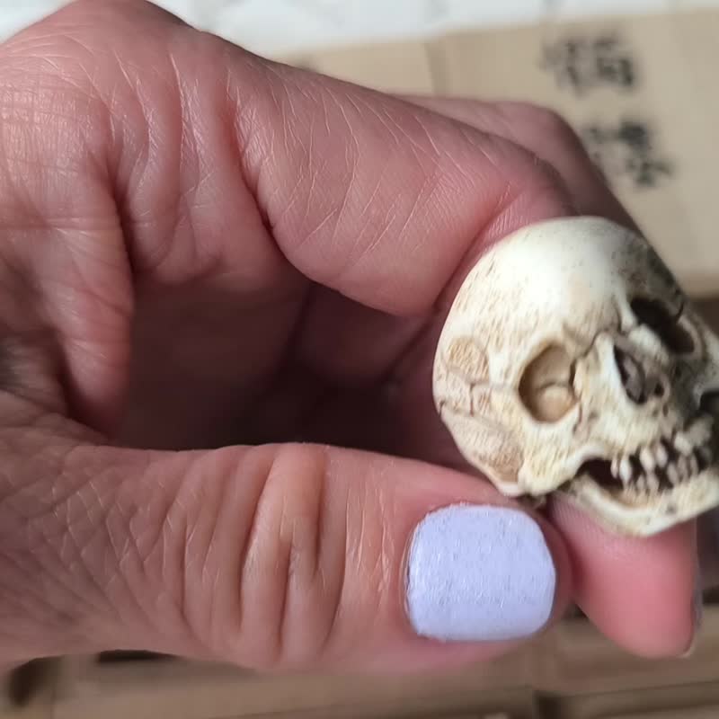 【附有署名】【髑髅作家服部】【鹿角制野晒戒指C】【附桐箱】髑髅 骷髅 骸骨 skull 根付 netsuke 等 - 戒指 - 其他材质 