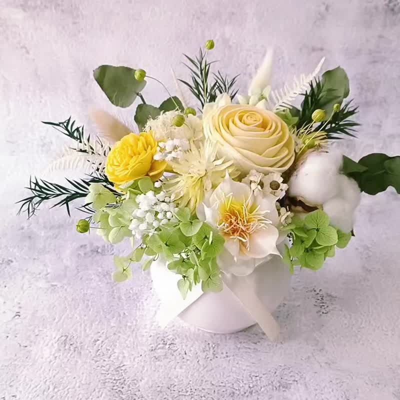 【春的意象】干燥花/永生花/不凋花/盆花/扩香 - 干燥花/捧花 - 植物．花 绿色