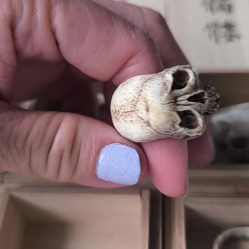 【署名】【髑髅作家服部】【鹿角制野晒戒指E】【附桐箱】髑髅、骷髅、骸骨、Skull、根付netsuke 等。 - 戒指 - 其他材质 