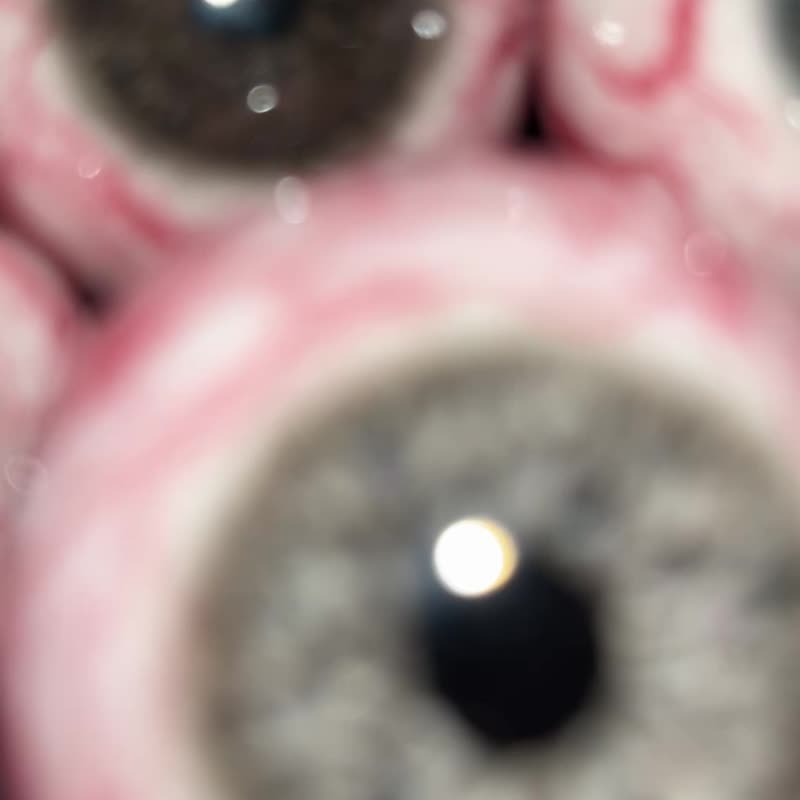 眼球可做项链或挂饰 - 项链 - 其他材质 