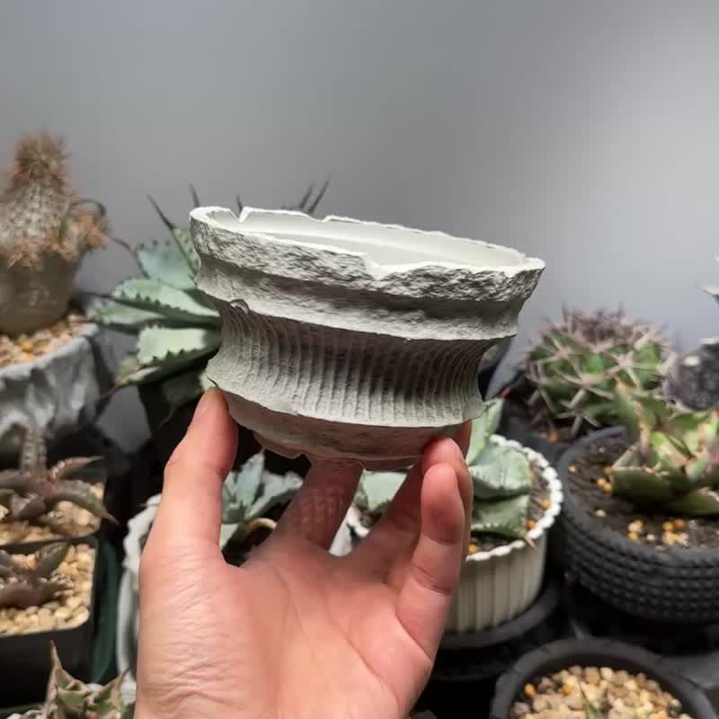 CBP003 植木钵 耐热/室外/原创设计/多肉块根植物/盆器盆栽/送礼 - 植栽/盆栽 - 塑料 多色