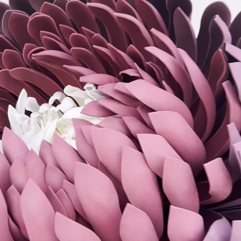 大型自立花。婚礼装饰。巨型紫菀。照片拍摄。店面 - 植栽 - 其他材质 紫色