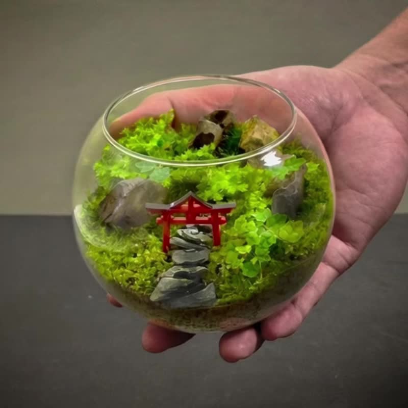 初诣之门 / 主题性定制化造景生态缸 - 植栽/盆栽 - 植物．花 