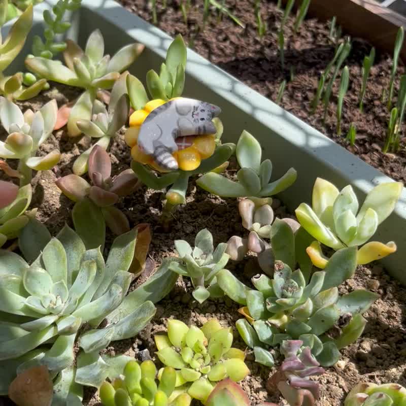 【露肚肚晒太阳的英短】化身躺在你手指的旋转戒指自愈系礼物首选 - 戒指 - 粘土 灰色