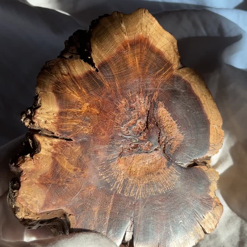 意景 花型 实木 原木 麻利疙瘩木 底座 树根 造景杯垫 茶道 树枝 - 摆饰 - 木头 咖啡色