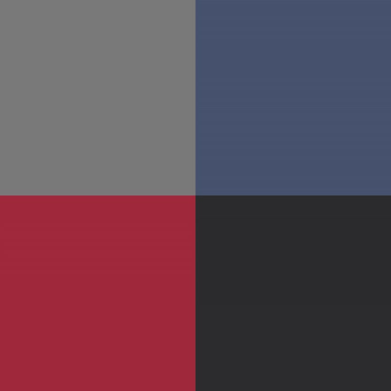 Woofy Woofy 8字训练项圈 插扣款 灿烂红 宠物项圈 - 项圈/牵绳 - 聚酯纤维 红色