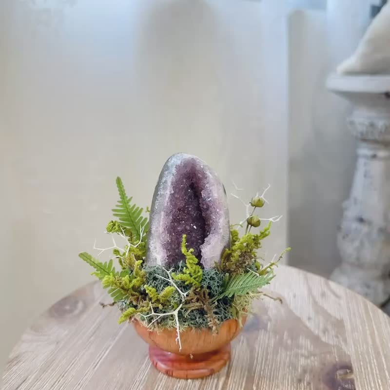 紫水晶 晶镇 镇宅小晶镇。 微景观永生叶材 绿植栽 - 植栽/盆栽 - 水晶 紫色