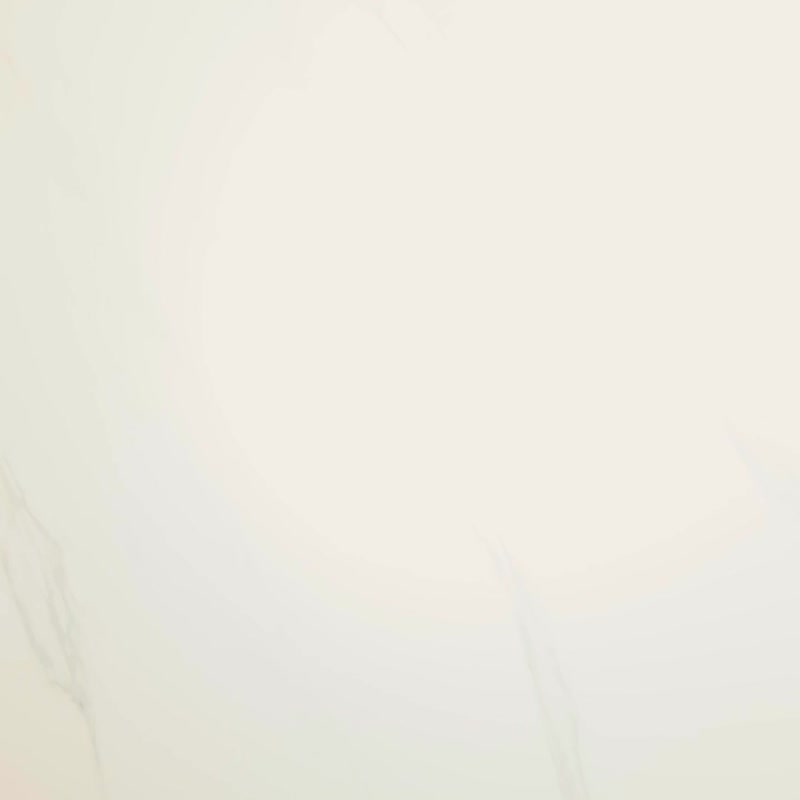 NextPacker 多用压缩收纳包15L 可用于鞋、潮湿衣物 V3旅行家系列 - 行李箱/行李箱保护套 - 环保材料 白色