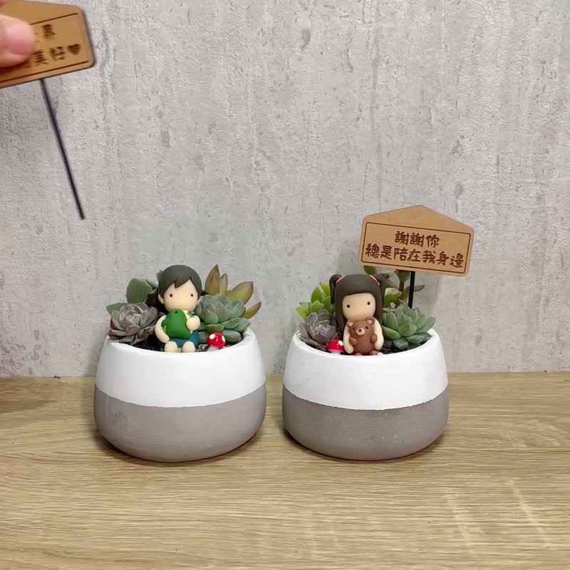 男孩女孩-多肉植物小圆水泥盆栽(附花插字牌) 情人节定制化礼物 - 植栽/盆栽 - 水泥 多色