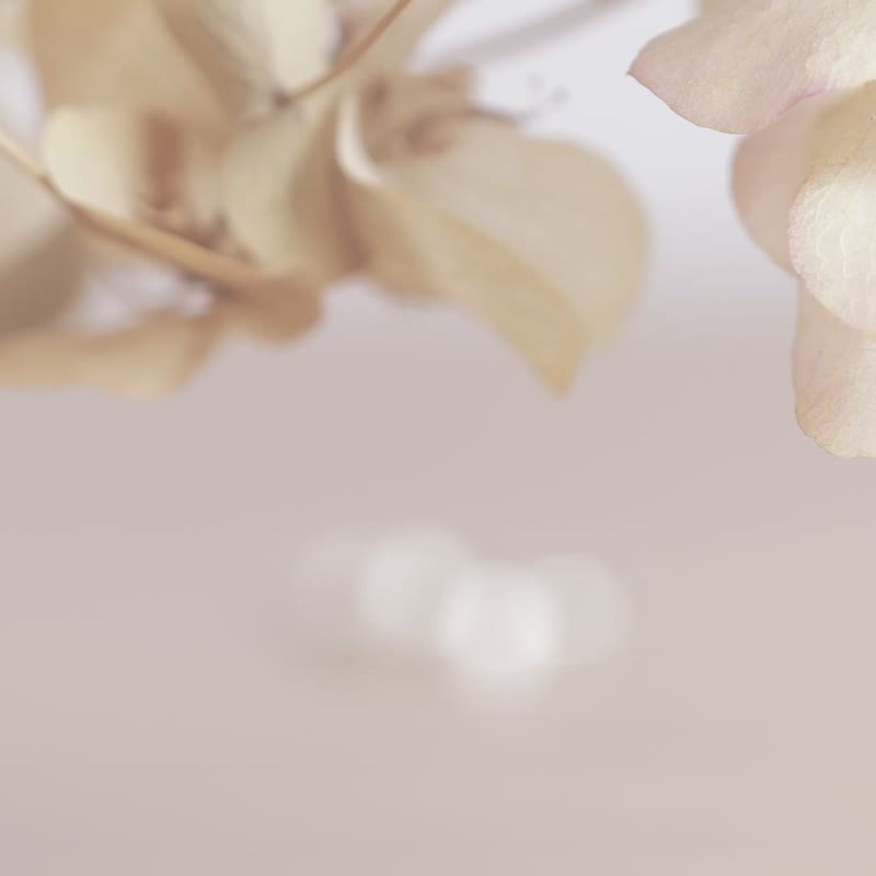 ni.kou 纯银 平面 单戒 女戒 尾戒 - 戒指 - 其他金属 