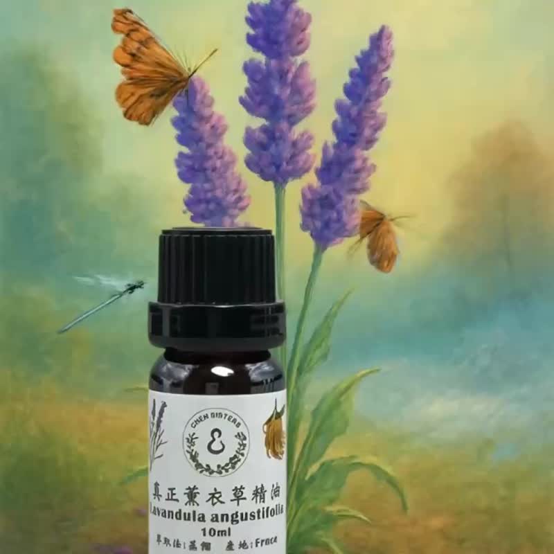 100%纯正 薰衣草精油 插画明信片 每一滴香气 都蕴藏艺术灵感 - 香薰/精油/线香 - 精油 白色