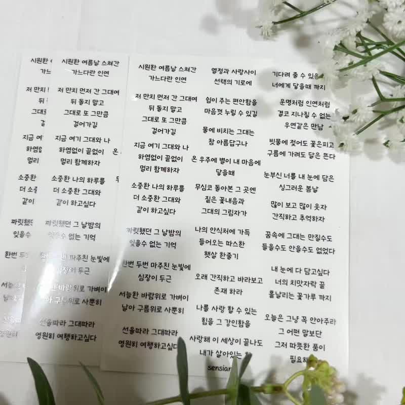 Sensiary- 韩系简约文字透明贴纸组 (3入) - 贴纸 - 纸 