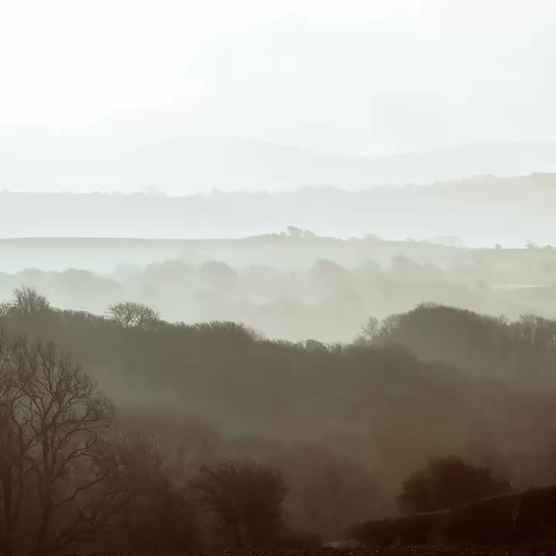 HAGW x Bali Collection 重磅绒布帽T-No Bad Days-black - 中性连帽卫衣/T 恤 - 棉．麻 