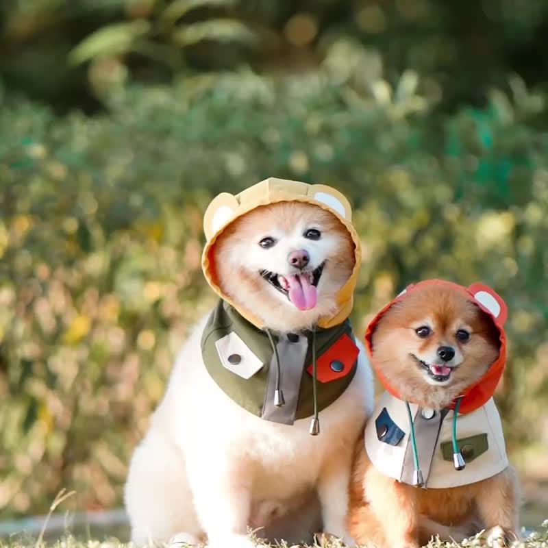 【宠物山系玩味服饰】CAMPING BEAR  - 军绿色 - 衣/帽 - 其他人造纤维 绿色