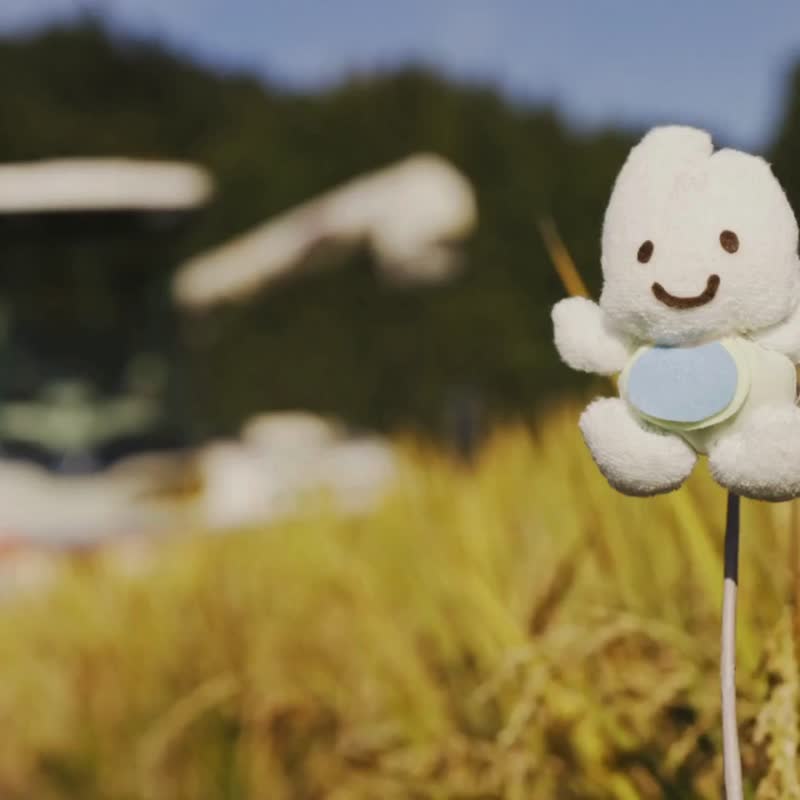 彩色米的环状咬舔玩具/固齿器/新生儿礼盒/弥月礼- - 满月礼盒 - 其他材质 多色