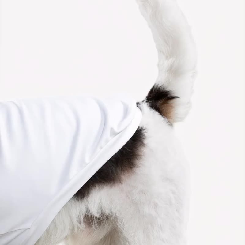 bump up【Com-Fit】瑜伽高弹小高领打底宠物狗狗衣服 - 衣/帽 - 其他人造纤维 白色