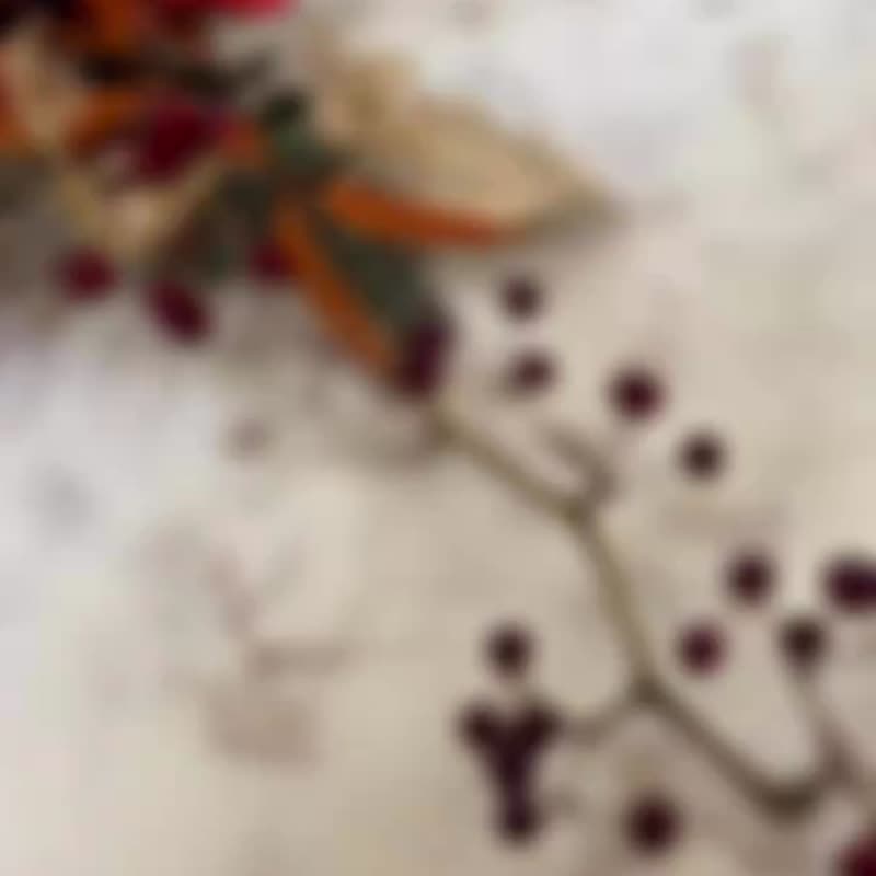 【预购商品】蛇年新春花礼/芍药索拉注连绳/春节装饰/春节花礼 - 干燥花/捧花 - 植物．花 多色