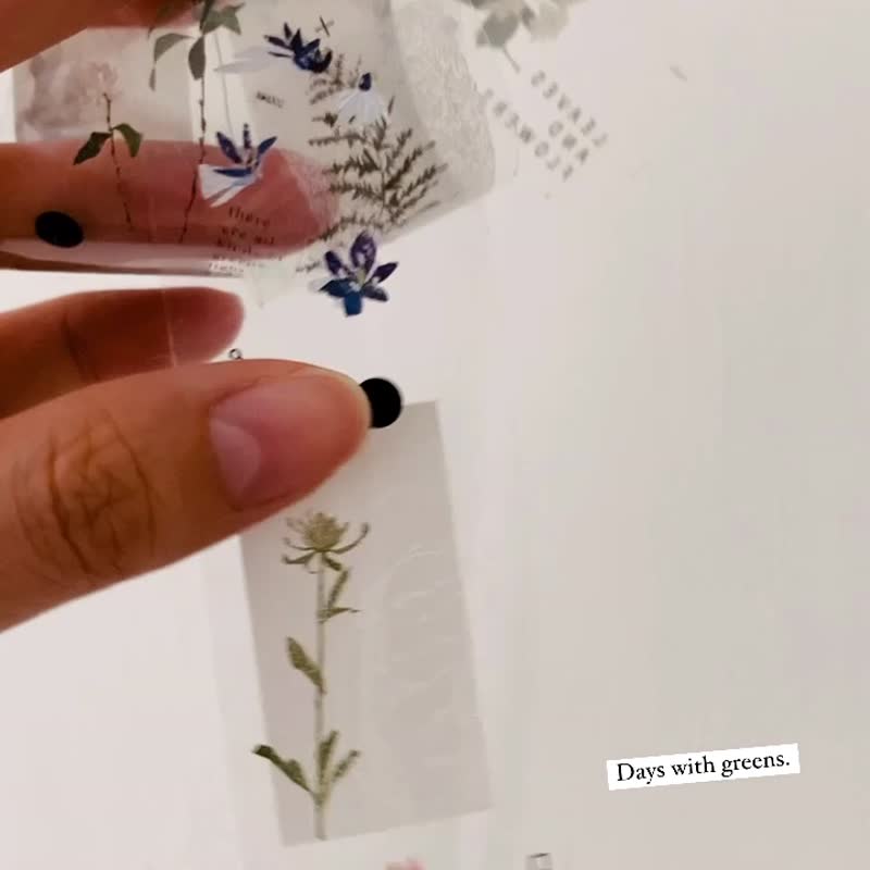 繁叶 / 3.5cm 亮面PET胶带 - 纸胶带 - 塑料 绿色