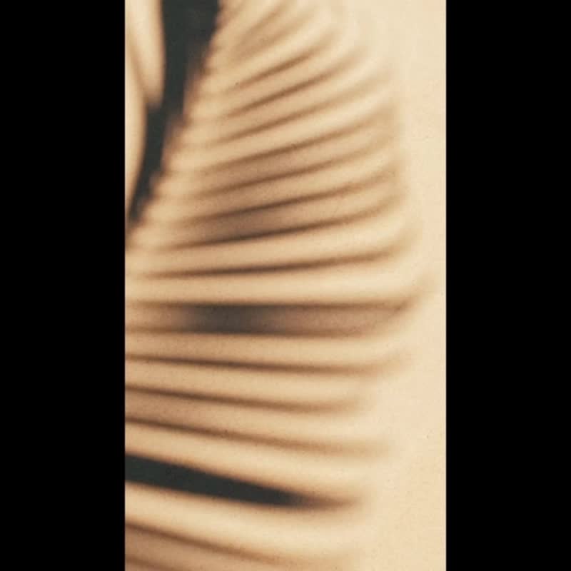 法国 Koshi 风铃 ~ 4 种旋律 Terra / Aqua / Aria / Ignis - 摆饰 - 竹 