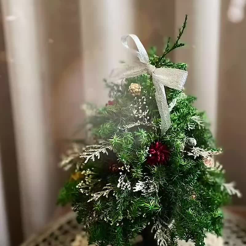 【永生花礼】永生松柏圣诞树 - 摆饰 - 植物．花 多色