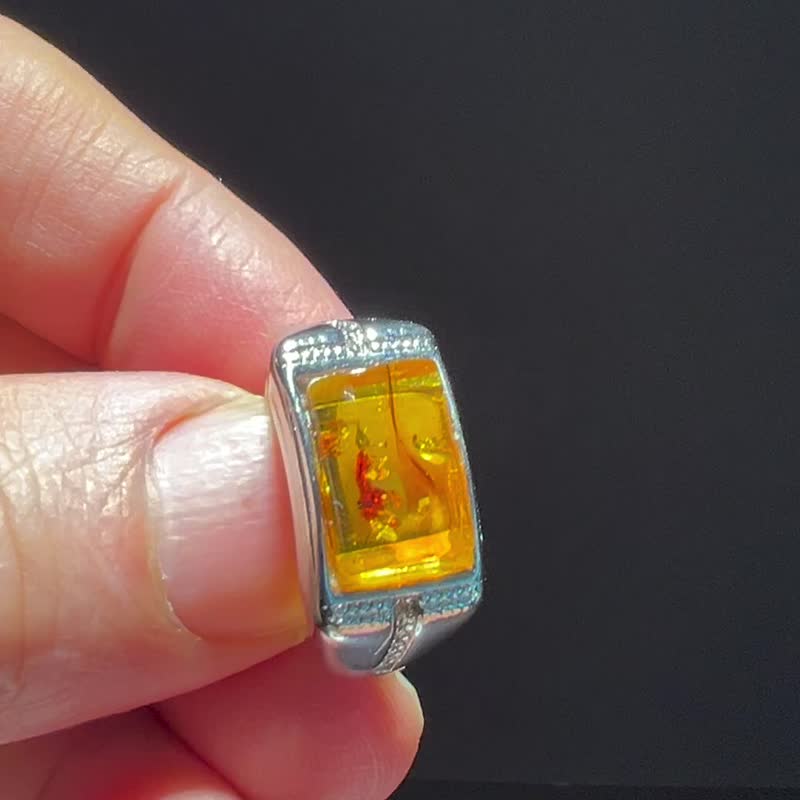琥珀 Baltic Amber 天然波罗的海金珀 戒指 5.95克 植物珀 非二代 - 戒指 - 半宝石 金色