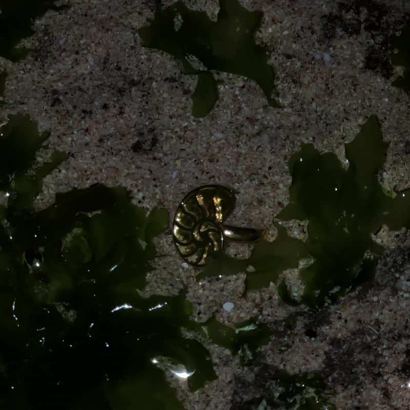 贝壳耳环,镀金耳环,24k 贝壳耳环,菊石耳环 - 耳环/耳夹 - 24k 金 金色
