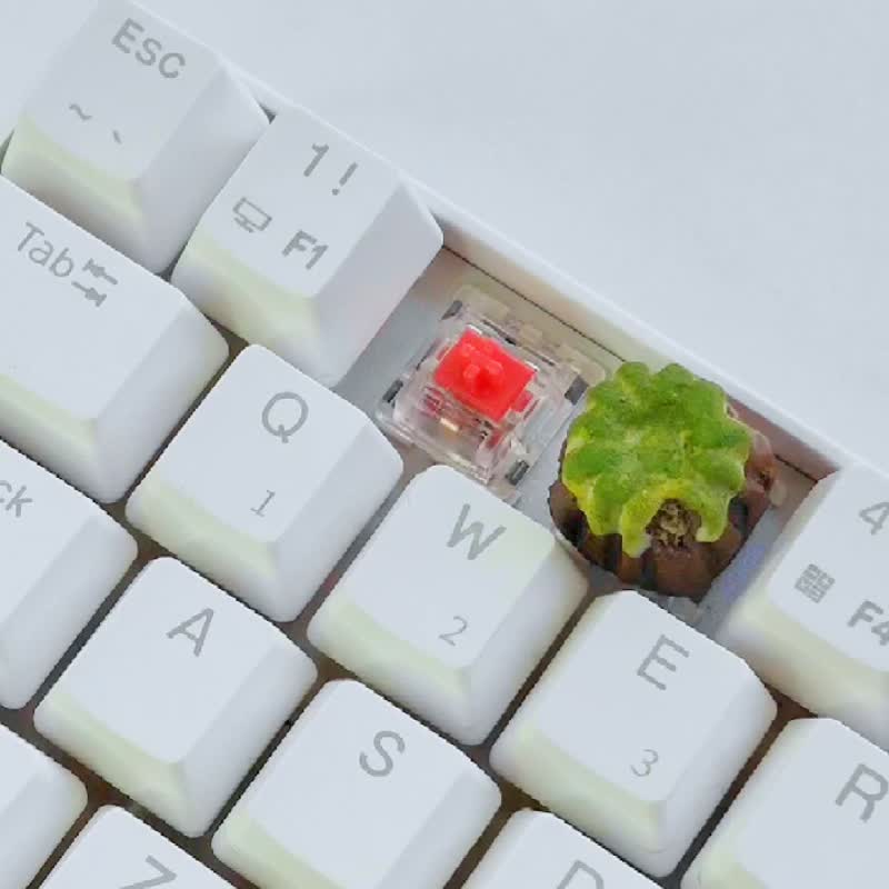 Kanure keycap (strawberry) for mechanical Cherry mx switches - 电脑配件 - 粘土 粉红色