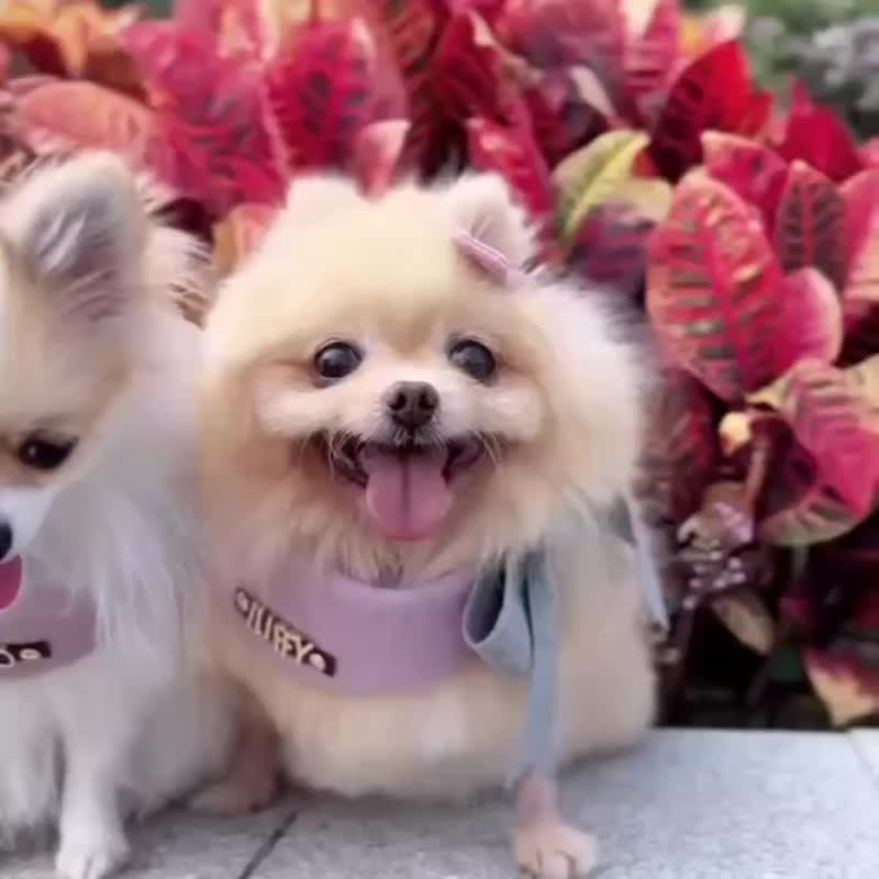 定制化宠物围兜/领巾/口水巾/围巾 定制名字私人订制 粉紫薰衣草 - 衣/帽 - 其他材质 粉红色