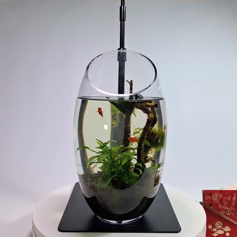 水草造景缸 - 植栽/盆栽 - 玻璃 