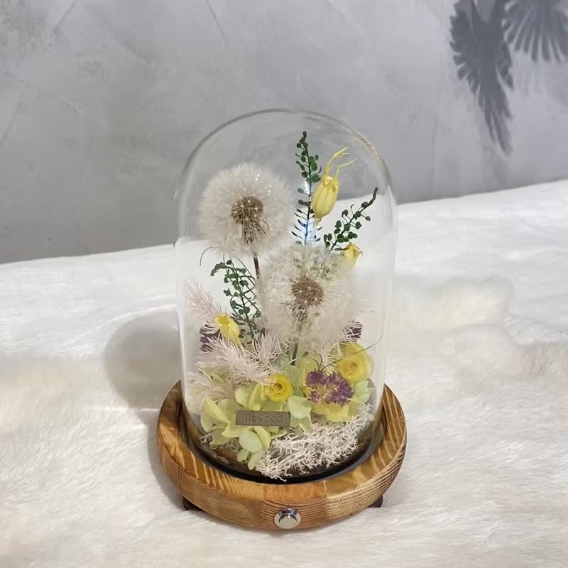小夜灯 蒲公英 毕业礼物 - 干燥花/捧花 - 植物．花 多色