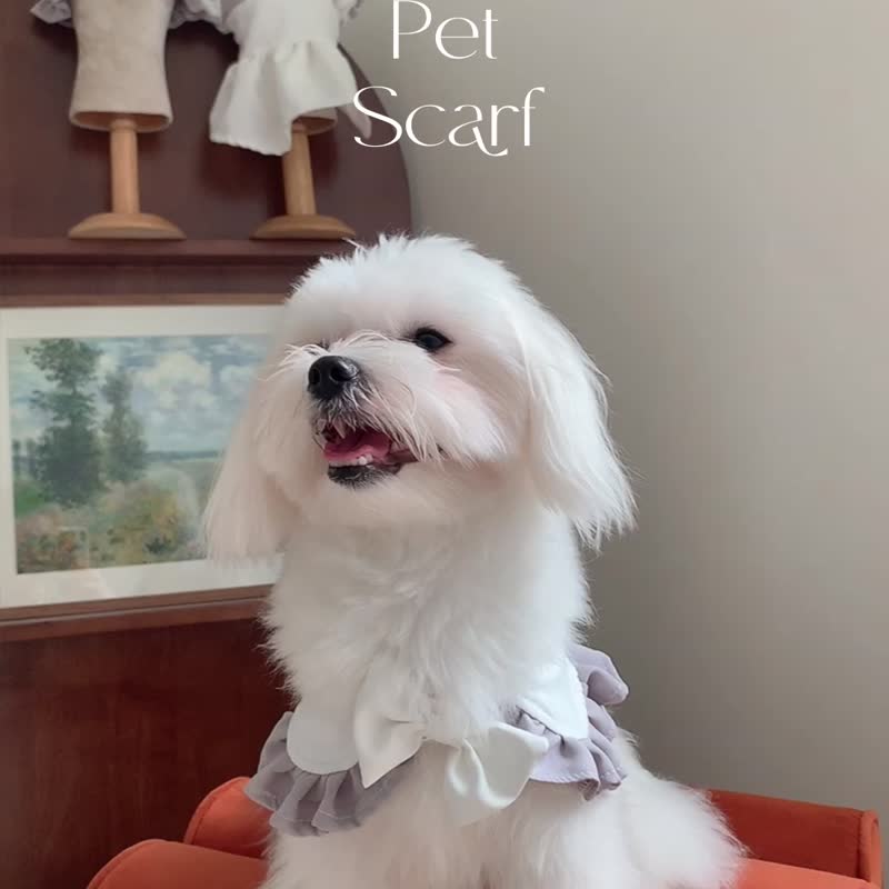 Asther Pet Scarf for dog, cat, puppy, rabbit (Matching Outfit) - 衣/帽 - 其他材质 